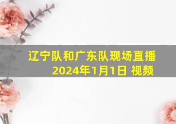 辽宁队和广东队现场直播2024年1月1日 视频